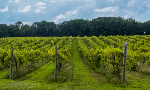 Wineries